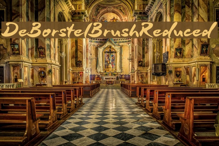 DeBorstelBrushReduced Example 2