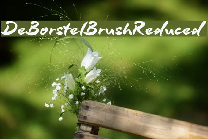 DeBorstelBrushReduced Example 3