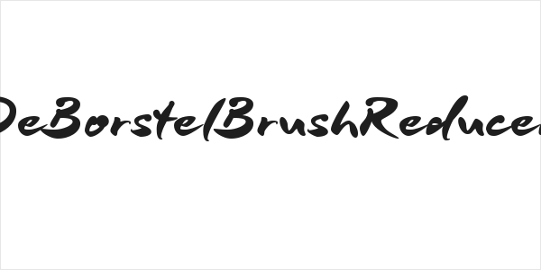 DeBorstelBrushReduced Logo