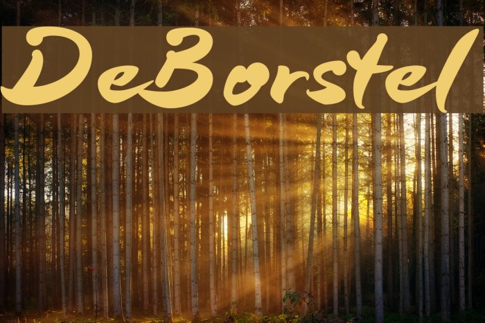DeBorstel Font examples