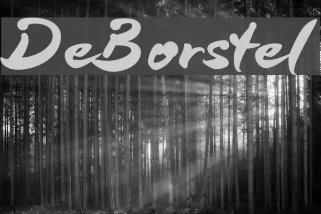 DeBorstel Example 2