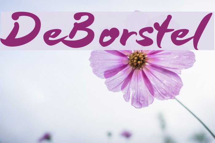 DeBorstel Font examples
