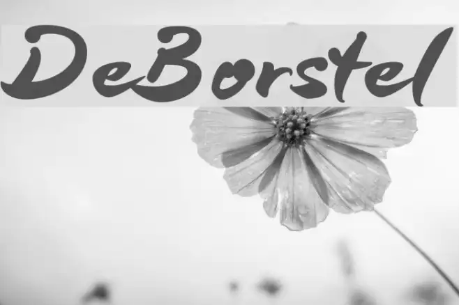 DeBorstel Example 3