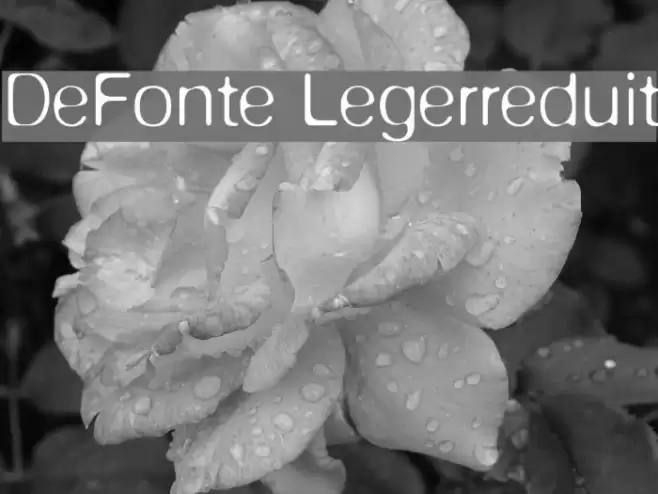 DeFonte-Legerreduit Font examples