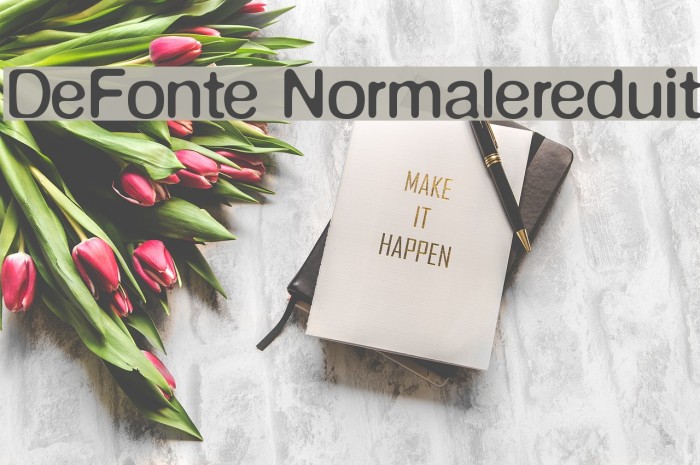 DeFonte-Normalereduit Font examples