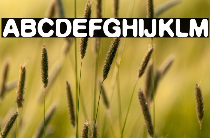 DeFonte Reduced DemiGras Example 2