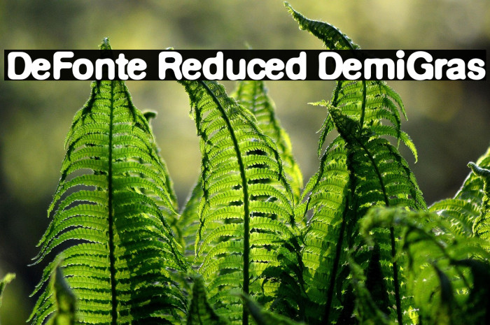 DeFonte Reduced DemiGras Example 1