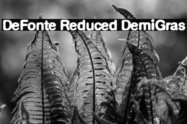 DeFonte Reduced DemiGras Font examples