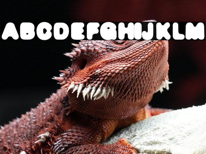 DeFonte Reduced Gros Example 1