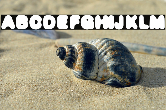 DeFonte Reduced Gros Example 3