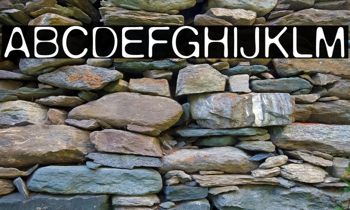 DeFonte Reduced Leger Example 2