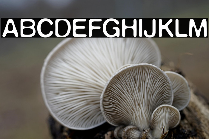 DeFonte Reduced Normale Example 1