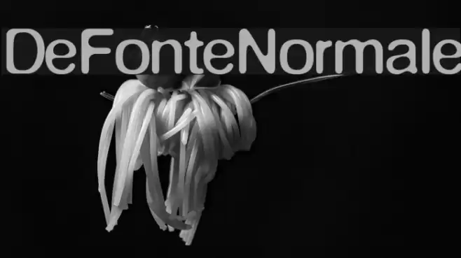 DeFonteNormale Schriftart examples