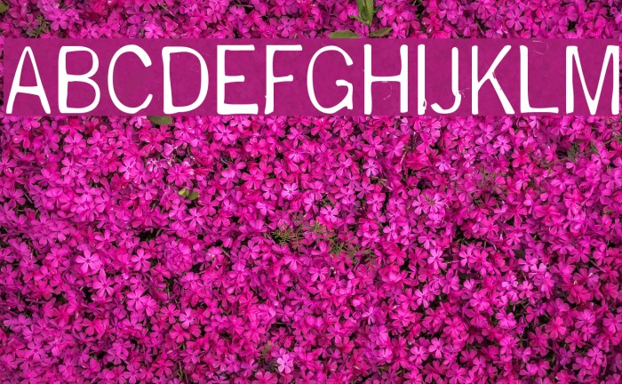 DeGenerate Font examples
