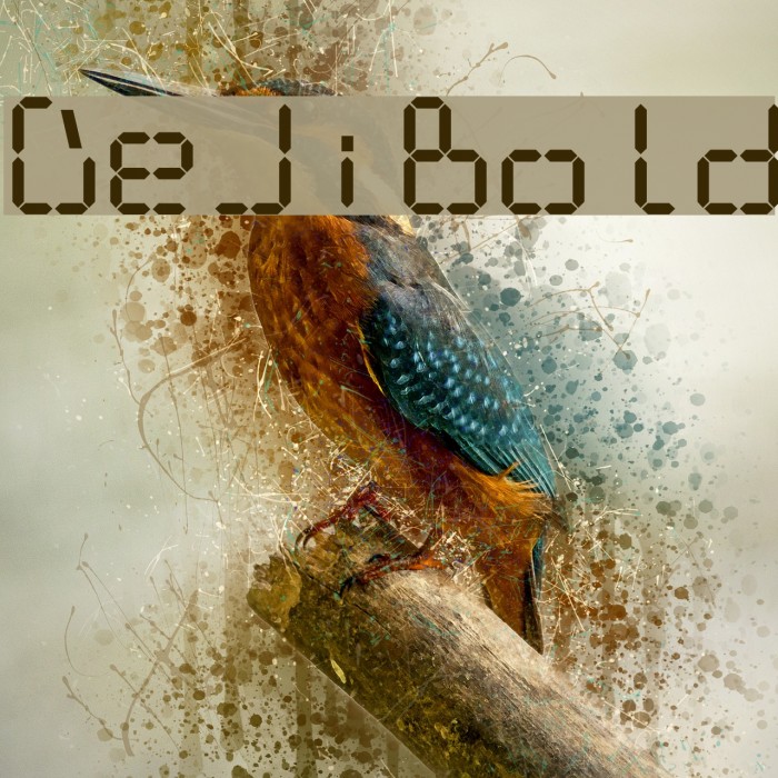DeJiBold Font examples