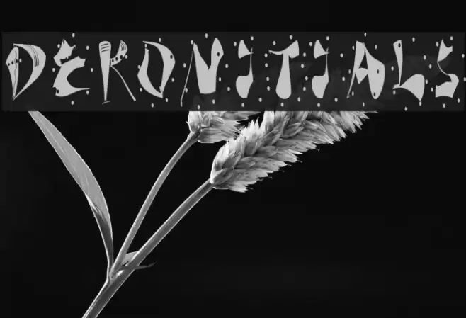 DeKonitials Font examples