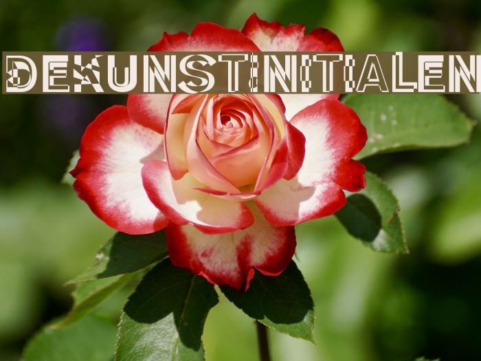 DeKunst-Initialen Font examples