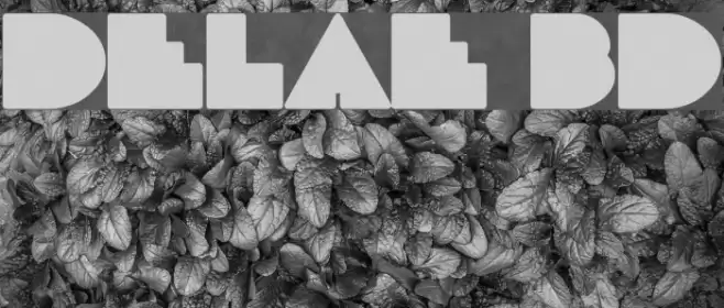 DeLarge Bold Schriftart examples