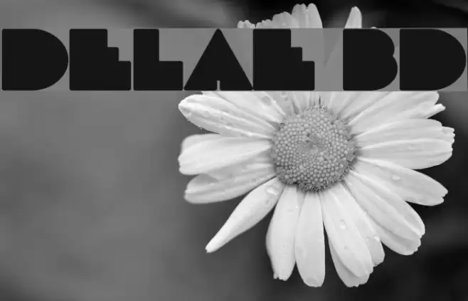 DeLarge Bold Schriftart examples