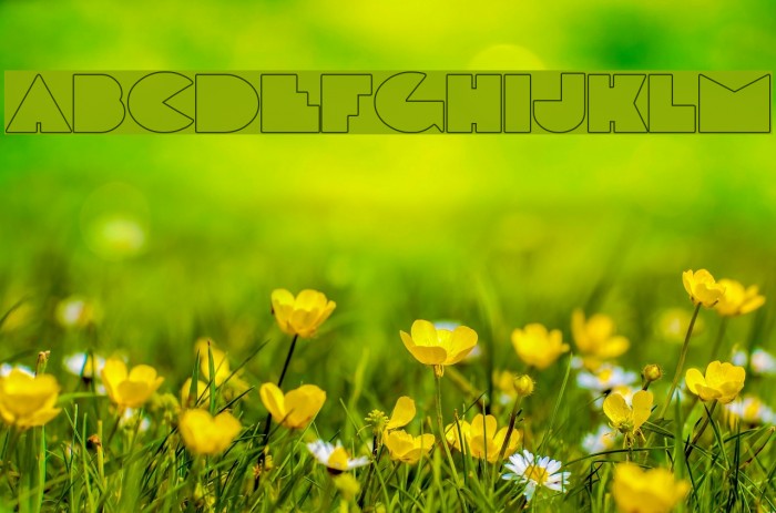 DeLarge Outline Font examples