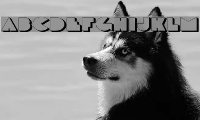 DeLarge Shadow Font examples