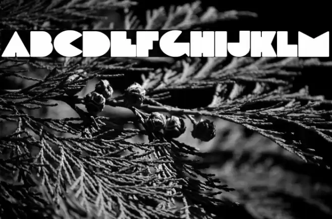 DeLarge Font examples