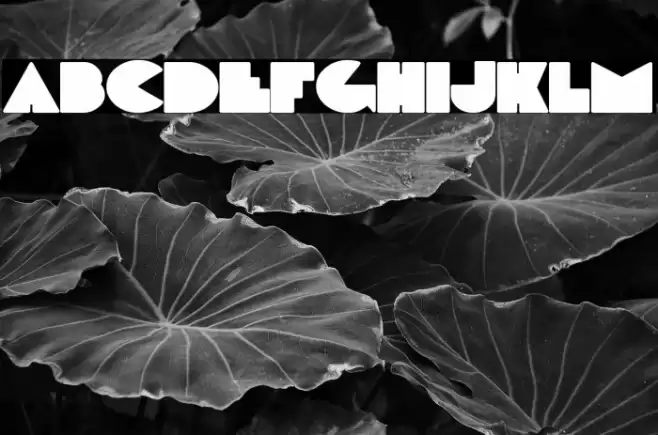 DeLarge Font examples