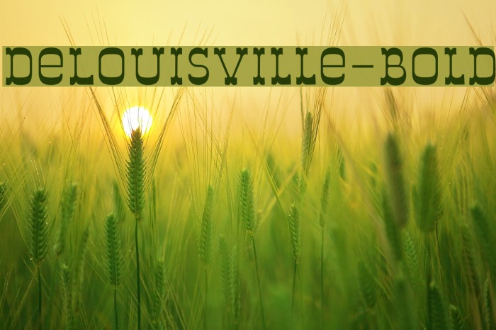 DeLouisville-Bold Font examples