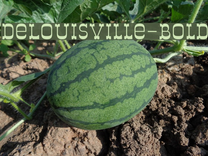 DeLouisville-Bold Font examples