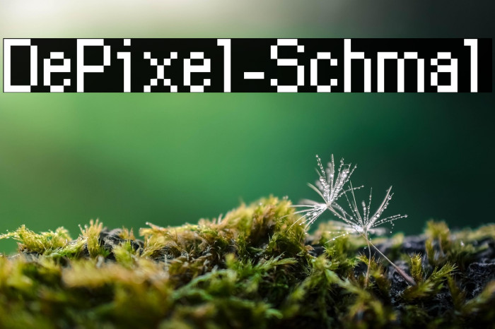 DePixel-Schmal Example 3