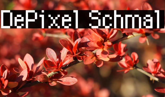 DePixel Schmal Example 1