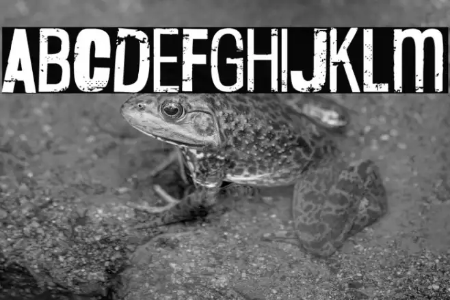 Deacon Flock Example 3