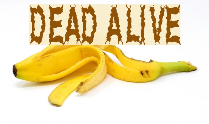 Dead Alive Font examples