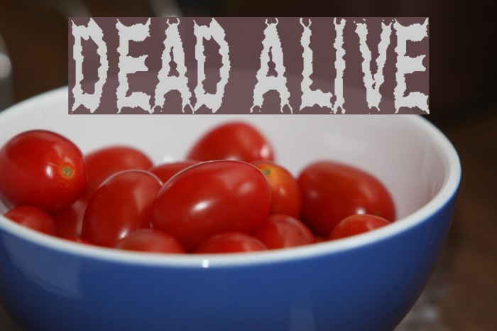 Dead Alive Font examples