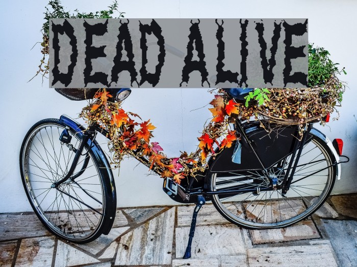 Dead Alive Font examples