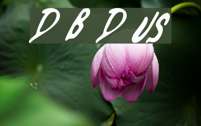Dead By Dawn US Font examples