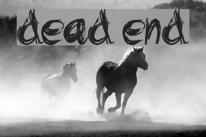 Dead end Example 2