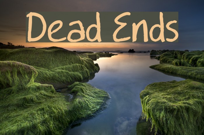 Dead Ends Font examples