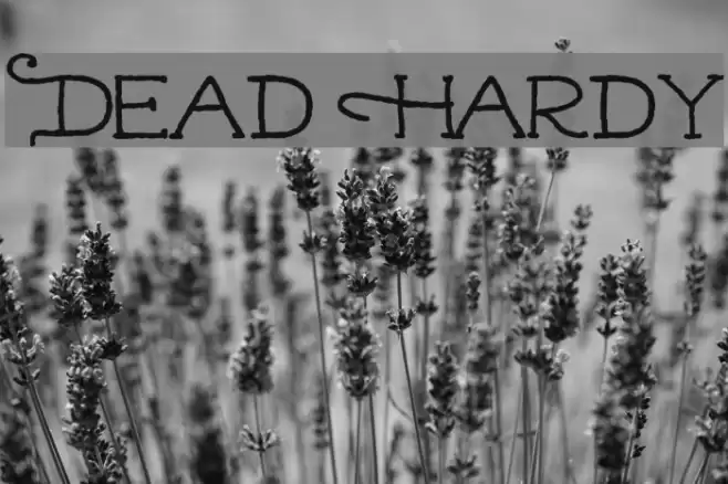 Dead Hardy Font examples