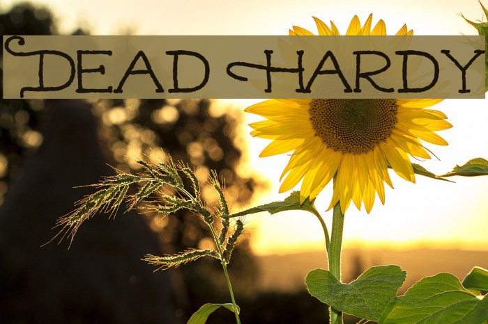 Dead Hardy Font examples