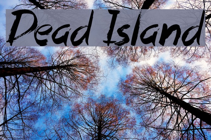 Dead Island Font examples
