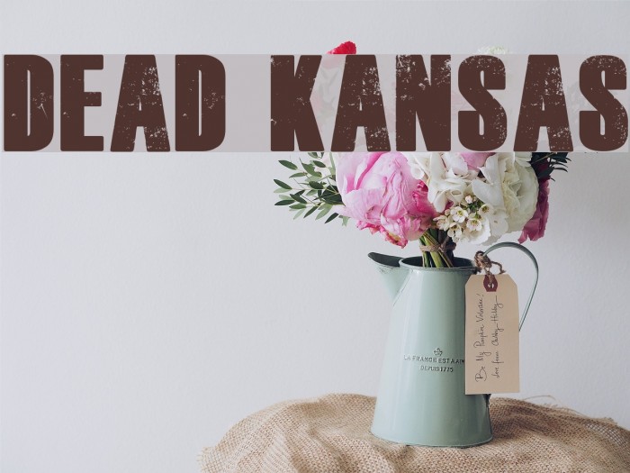 Dead Kansas Font examples