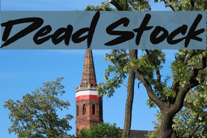 Dead Stock Font examples