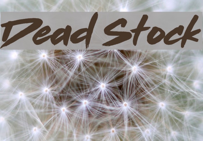 Dead Stock Font examples