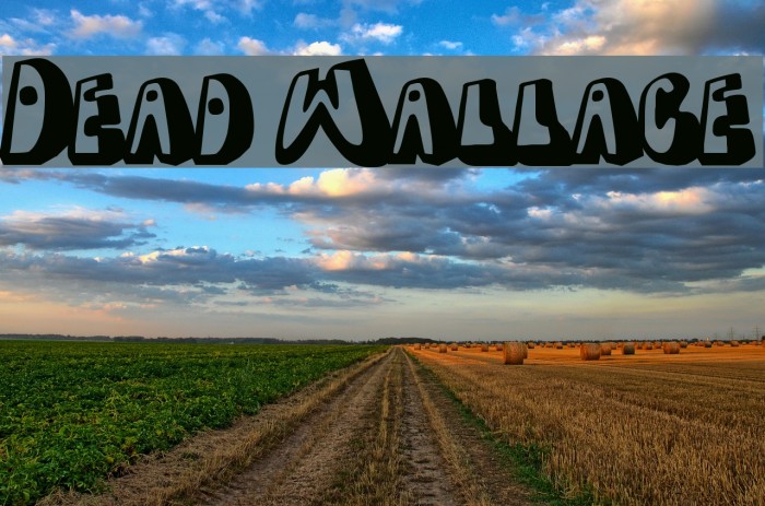 Dead Wallace Font examples