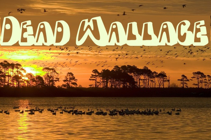 Dead Wallace Font examples