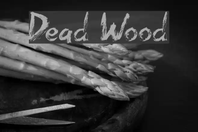 Dead Wood Font examples