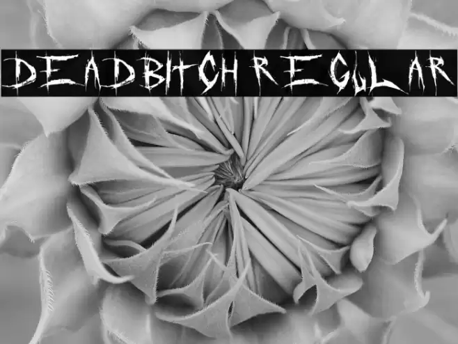 DeadBitch Regular Font examples