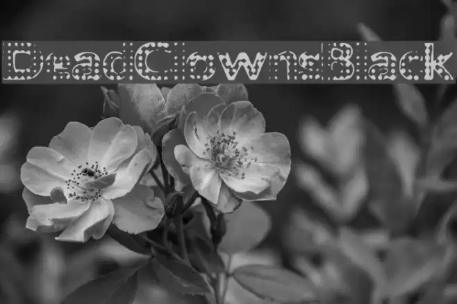 DeadClownsBlack Font examples