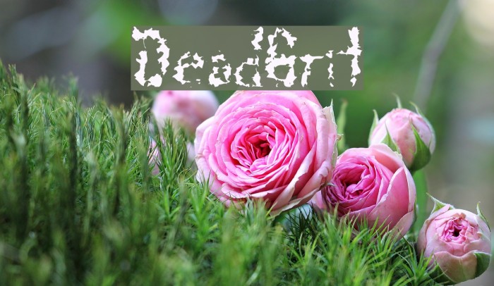 DeadGrit Font examples